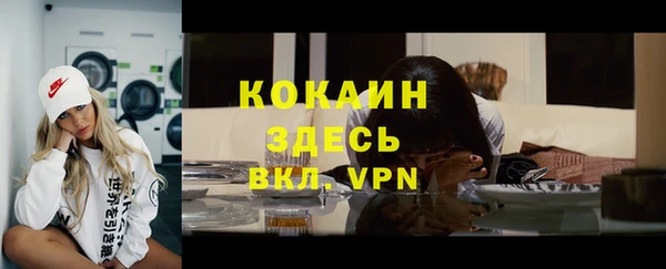 молекула духа Тында