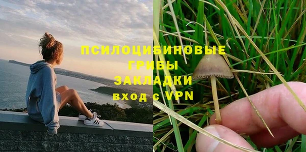 молекула духа Тында