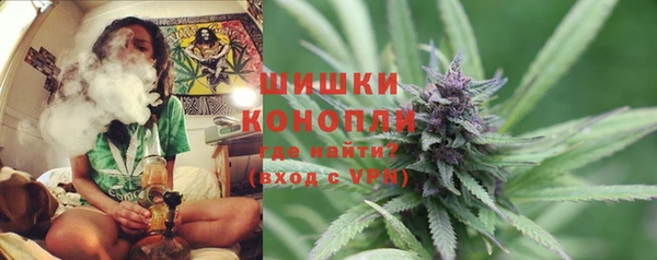 кокс Арсеньев